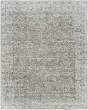 Dian Traditional Khaki/Light Silver Washable Area Rug
