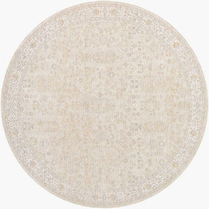 Krissa Traditional Light Silver Area Rug