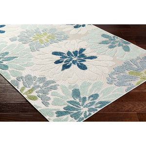 Mohit Coastal Pale Blue Area Rug