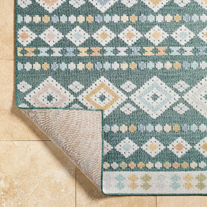 Zarinah Coastal Medium Green Area Rug