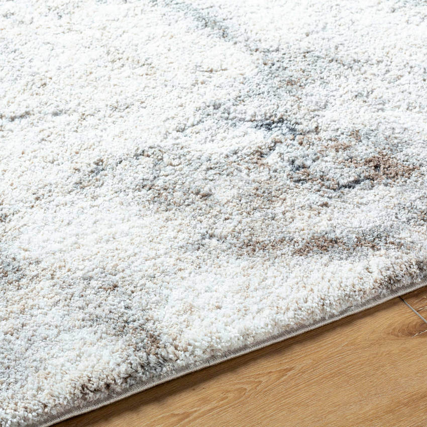 Bonfield Modern Light Silver Area Rug