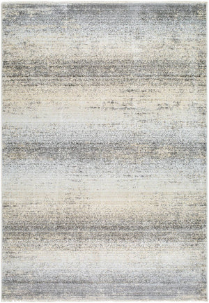 Rasheed Modern Light Slate Area Rug