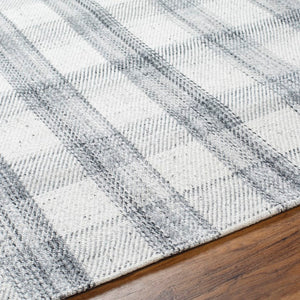 Sammy Modern Light Silver/Ash Area Rug - Becki Owens x Livabliss