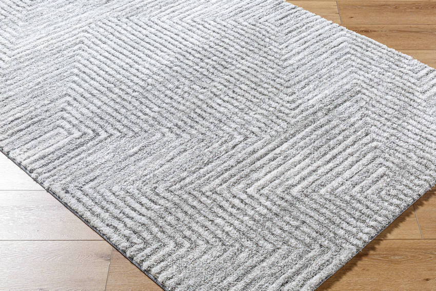 Rajan Global Light Gray Area Rug