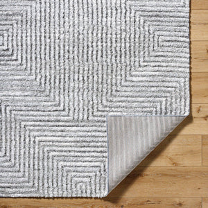 Rajan Global Light Gray Area Rug