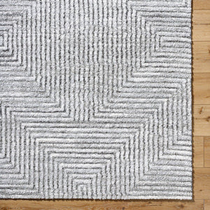 Rajan Global Light Gray Area Rug