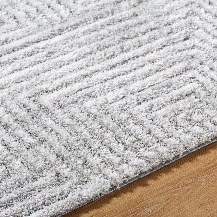 Rajan Global Light Gray Area Rug