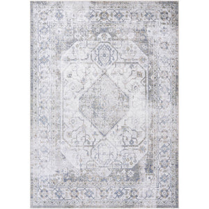 Taron Traditional Metallic - Silver Washable Area Rug