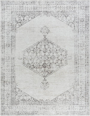 Olympic Traditional Tan/Cream Area Rug - Our PNW Home x Livabliss