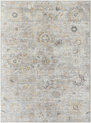 Olympic Traditional Gray/Light Beige Area Rug - Our PNW Home x Livabliss