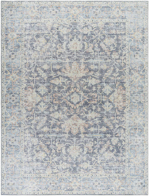 Olympic Traditional Charcoal/Sky Blue Area Rug - Our PNW Home x Livabliss