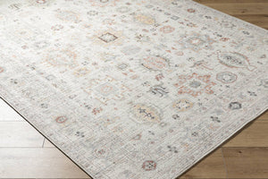 Spokane Traditional Ivory/Rust Area Rug - Our PNW Home x Livabliss
