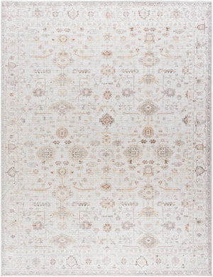 Spokane Traditional Ivory/Rust Area Rug - Our PNW Home x Livabliss