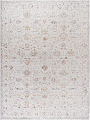 Spokane Traditional Ivory/Rust Area Rug - Our PNW Home x Livabliss