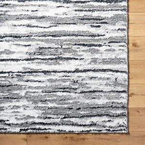 Arionne Modern Light Silver Area Rug