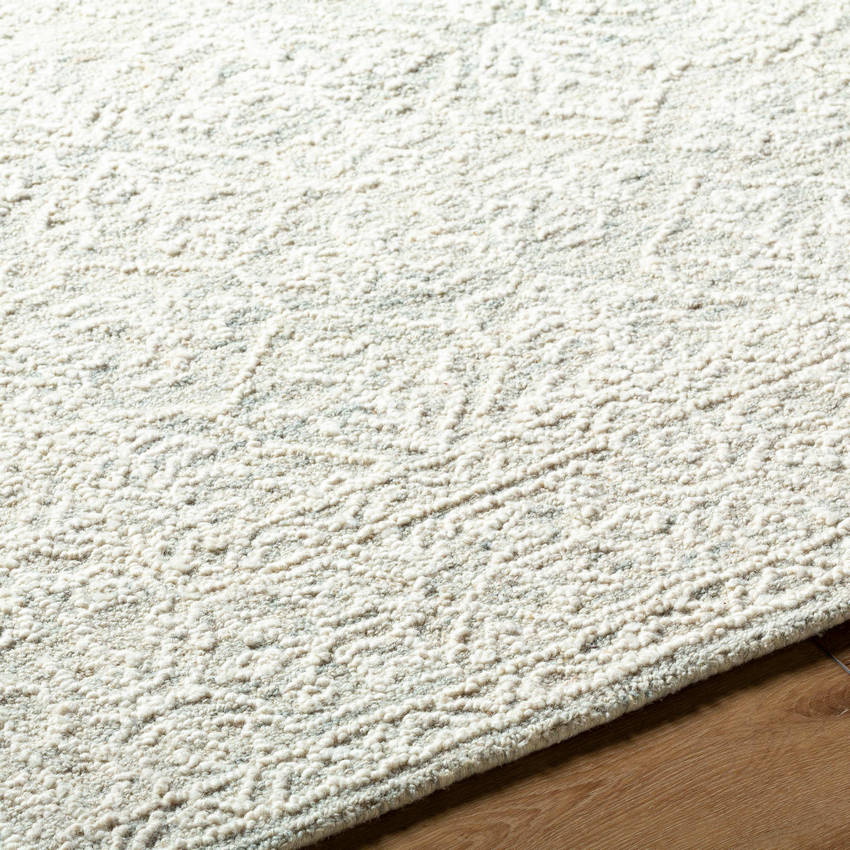 Henderson Traditional Light Silver Area Rug