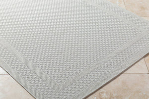 Sadiyya Modern Light Gray Area Rug
