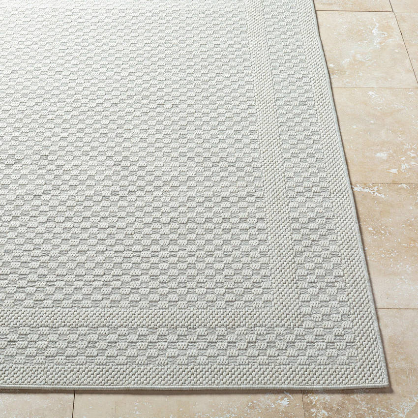 Sadiyya Modern Light Gray Area Rug