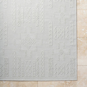 Towana Modern Light Gray Area Rug