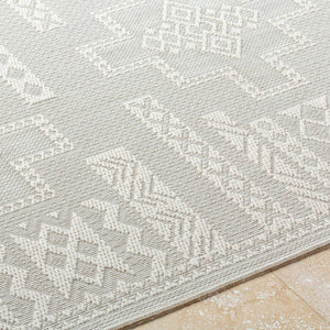 Towana Modern Light Gray Area Rug