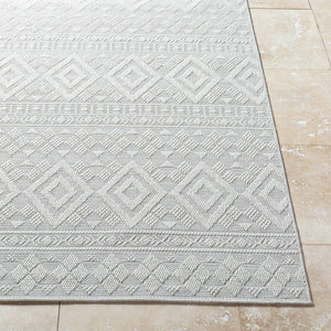 Teaira Modern Light Silver Area Rug
