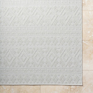 Teaira Modern Light Silver Area Rug