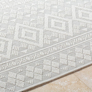 Teaira Modern Light Silver Area Rug