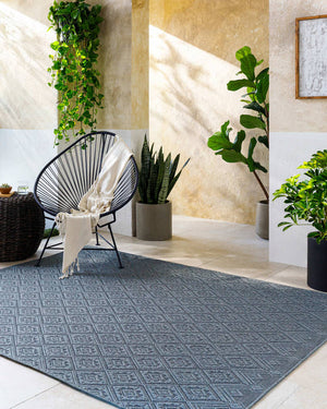 Selenia Cottage Charcoal Area Rug