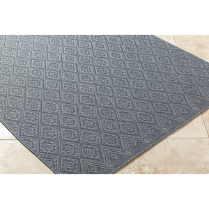 Selenia Cottage Charcoal Area Rug