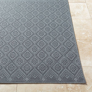 Selenia Cottage Charcoal Area Rug
