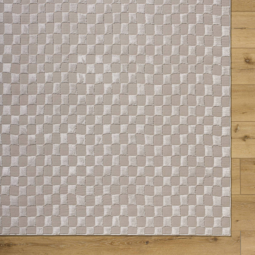 Ayleen Modern Taupe/Tan Washable Area Rug