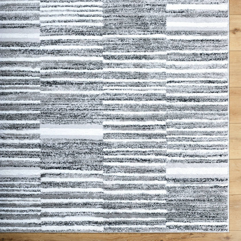 Karinne Modern Medium Gray Area Rug