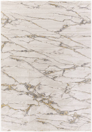 Alisah Modern Charcoal/Tan Area Rug