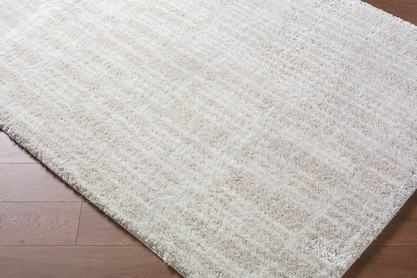 Jenica Modern Tan Area Rug