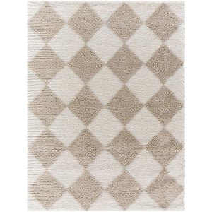 Adonica Modern Light Brown Area Rug