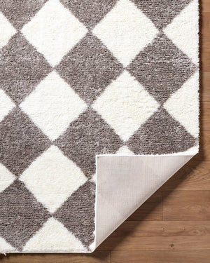 Adonica Modern Dark Brown Area Rug