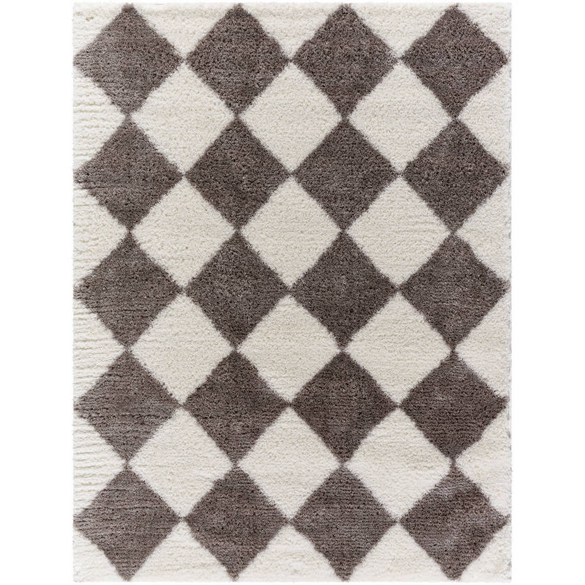 Adonica Modern Dark Brown Area Rug