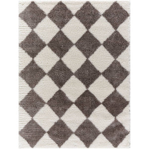 Adonica Modern Dark Brown Area Rug