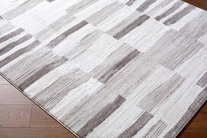 Tyrone Modern Medium Gray Area Rug