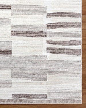 Tyrone Modern Medium Gray Area Rug