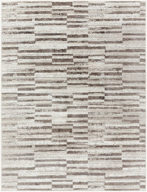 Megean Modern Medium Gray Area Rug