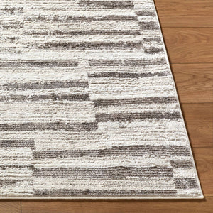 Megean Modern Medium Gray Area Rug