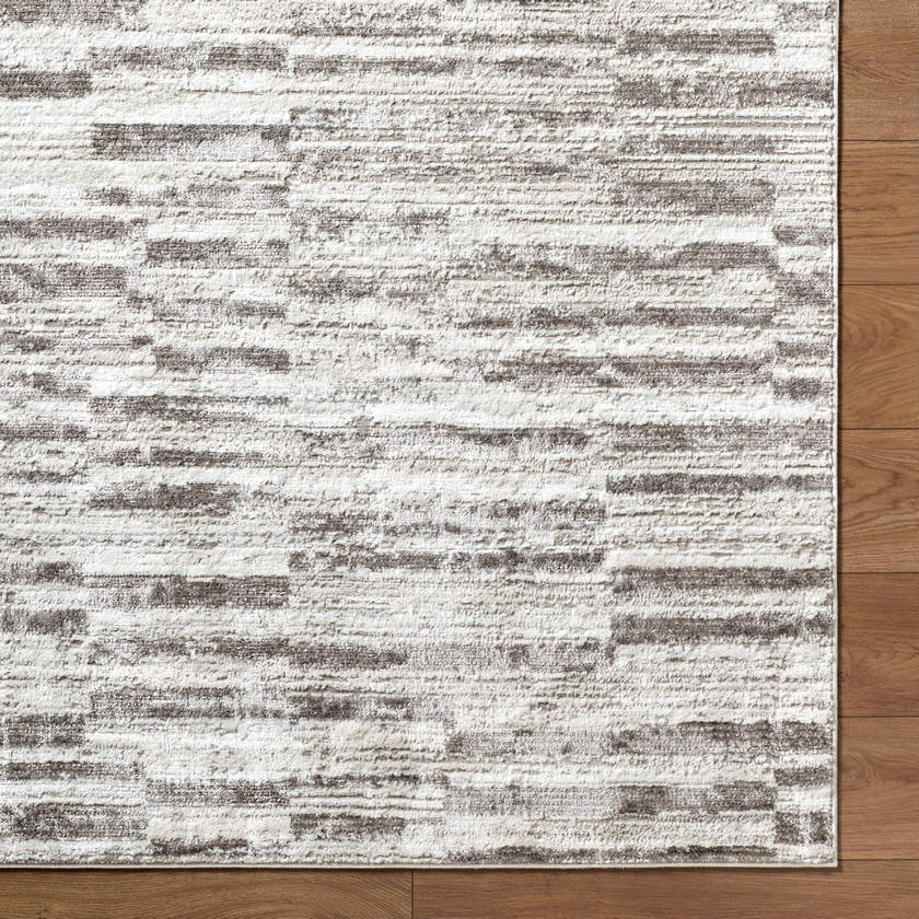 Megean Modern Medium Gray Area Rug