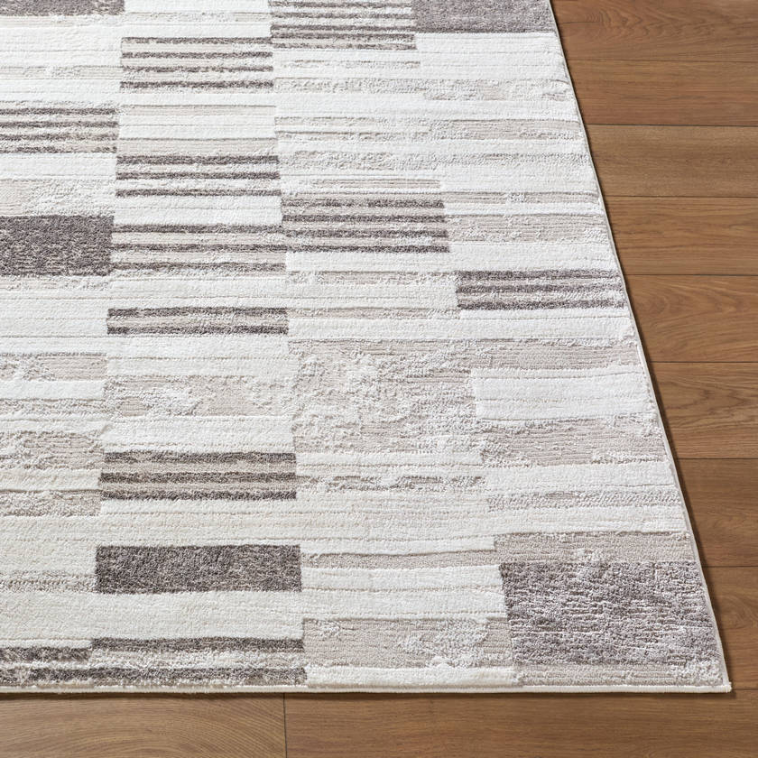 Rison Modern Light Beige Area Rug