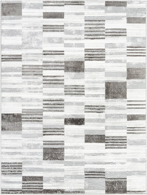 Rison Modern Medium Gray Area Rug