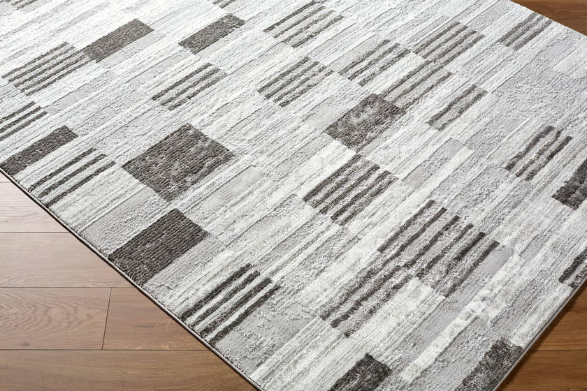 Rison Modern Medium Gray Area Rug