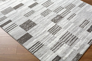 Rison Modern Medium Gray Area Rug
