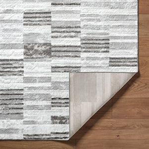 Rison Modern Medium Gray Area Rug