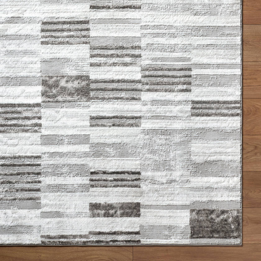 Rison Modern Medium Gray Area Rug