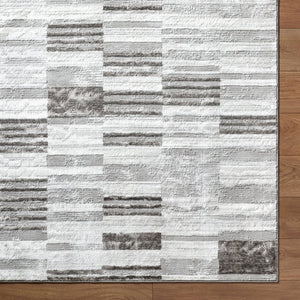 Rison Modern Medium Gray Area Rug